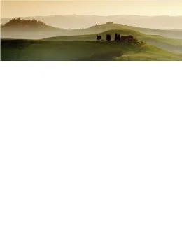 Morning Haze - Box Canvas
