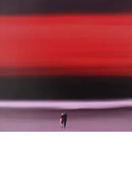 A Bright Horizon - Mounted