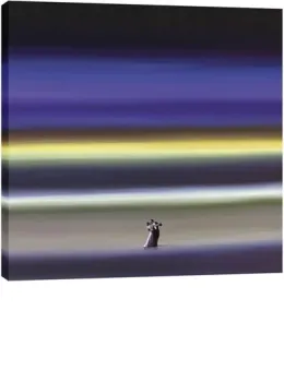 Save The Last Dance - Box Canvas