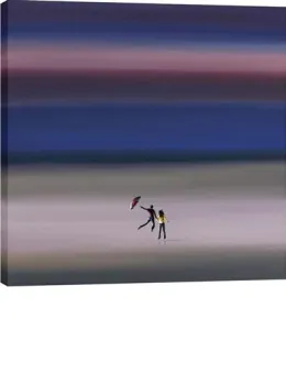 Flying High - Box Canvas