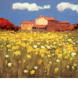 Campi Toscani IV - Board Only