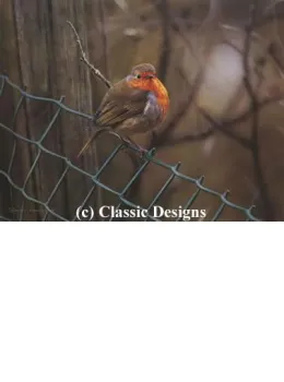 Sitting On The Fence - Robin - Print