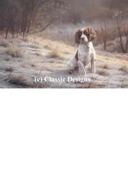 Dash - Springer Spaniel - Mounted