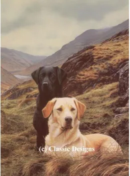Friends - Labradors - Mounted
