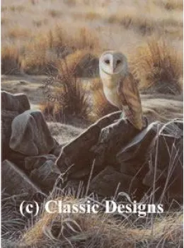 The Hunter - Barn Owl - Mounted