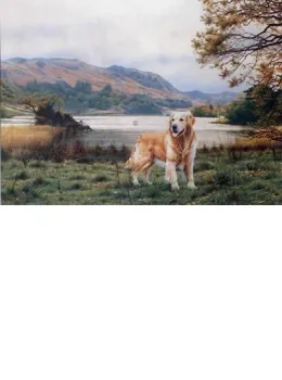 Casper - Golden Retriever - Mounted