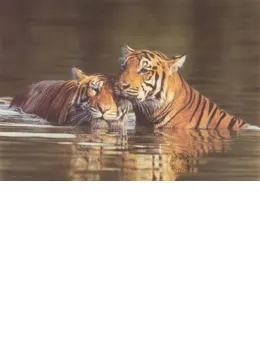 Affection - Print