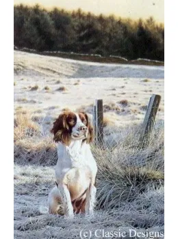 Frosty Morn - Springer Spaniel - Mounted