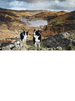 Our Valley - Mounted