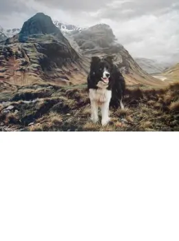 Champion Of The Glen - Mounted