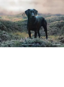 Kate - Mounted
