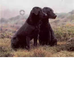 Partners - Mounted