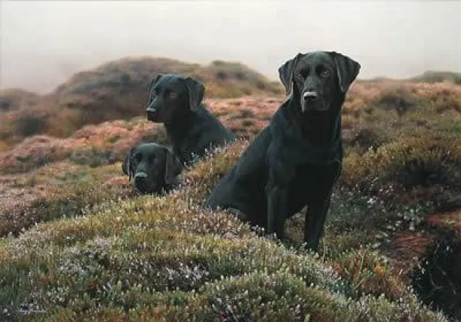 The Three Musketeers