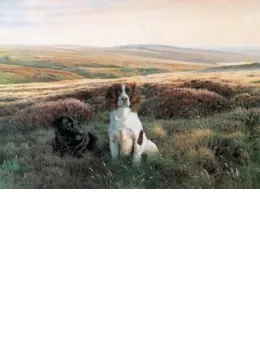 Workmates - Springer & Labrador - Mounted