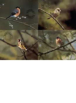 Finches - Set Of 4 - Print