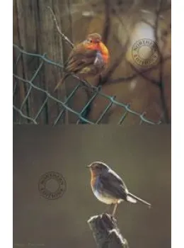 Robins - Set Of 2 - Print
