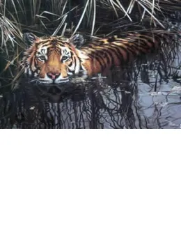 Cooling Off - Print