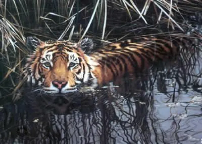 Cooling Off - Print Cooling Off - Print