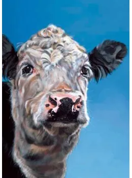 Latte - Cow - Box Canvas