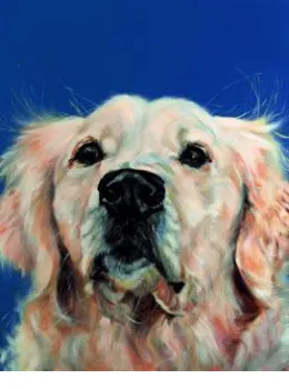 Bushy Tailed - Golden Retriever - Board Only