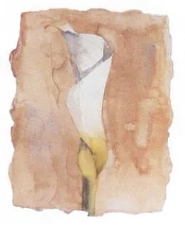 Arum Lilly I - Mounted
