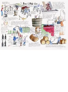 How To Make Wine - Mounted