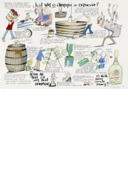 Just Why Is Champage So Expensive? 