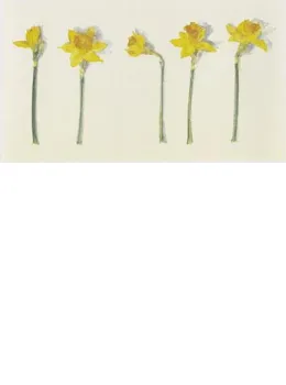 Narcissi - Mounted