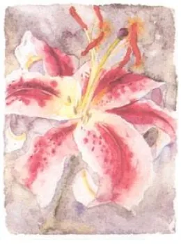 Lilly Study IV - Mounted
