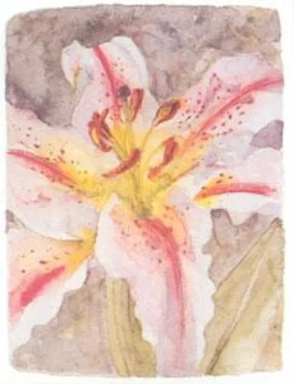 Lilly Study II