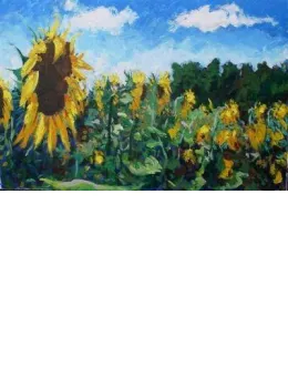 Sunflowers In France - Paper - Print