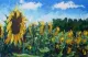 Sunflowers In France - Paper - Print