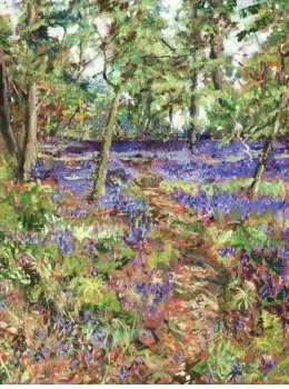 Walk Through The Bluebells - Unstretched Canvas