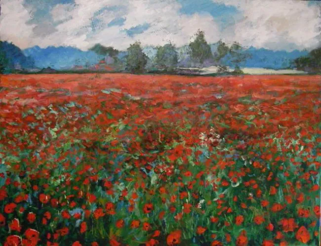 Summer Splendour
