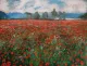 Summer Splendour (GC535F) - Unstretched Canvas