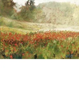 Poppyfield At Dawn - Unstretched Canvas