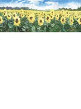 Sunflower Sanctuary - Unstretched Canvas