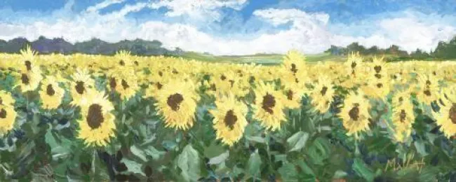 Sunflower Sanctuary - Unstretched Canvas
