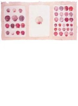 Pink Shells - Mounted