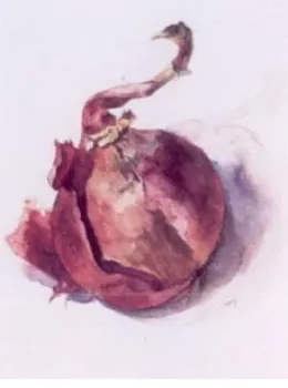 Red Onion - Mounted