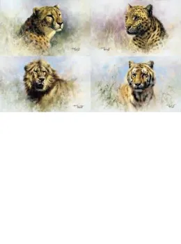 Big Cats Portfolio (Set Of 4) - Mounted