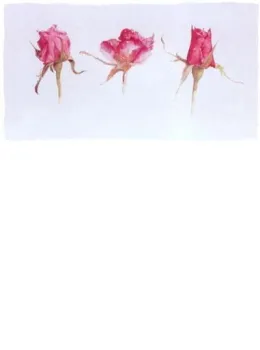 Rose Bud Trio - Mounted