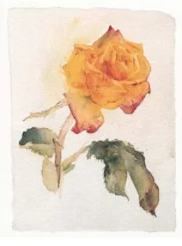 Yellow Rose - Mounted
