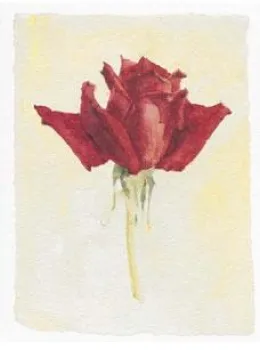 Red Rose - Mounted