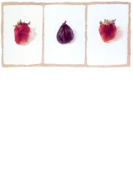 Fig & Strawberries - Mounted