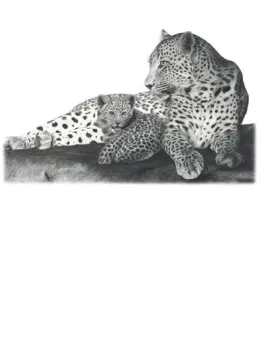 Fearless - Leopards - Mounted