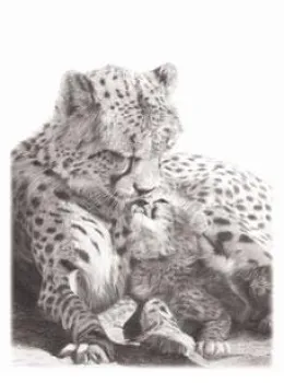 No Greater Love - Cheetah - Mounted