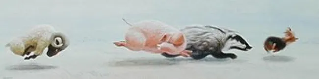 The Chase