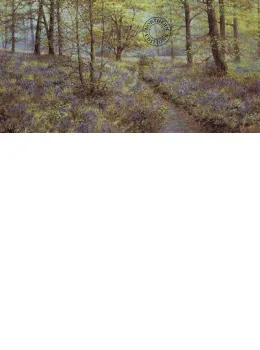 Bluebell Glade - Print