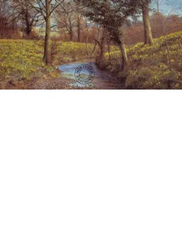 Daffodil Brook - Print